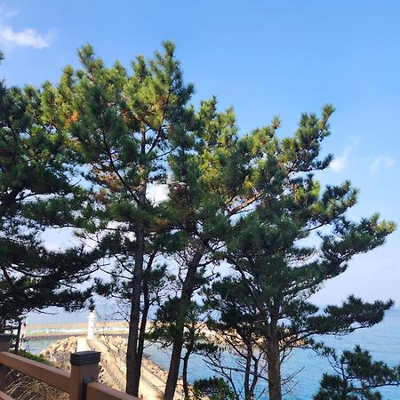 Bada Village Minbak 제주 외부 사진