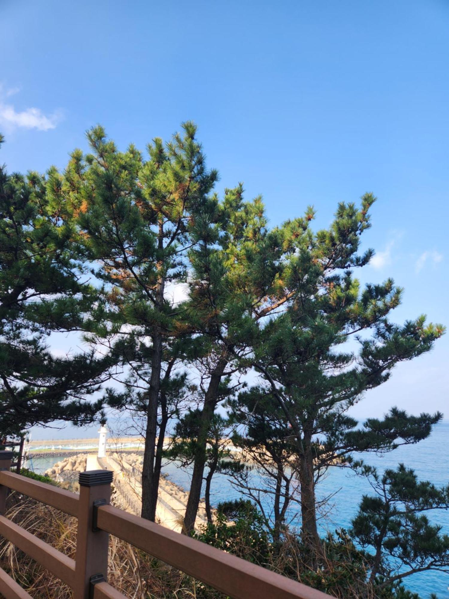Bada Village Minbak 제주 외부 사진